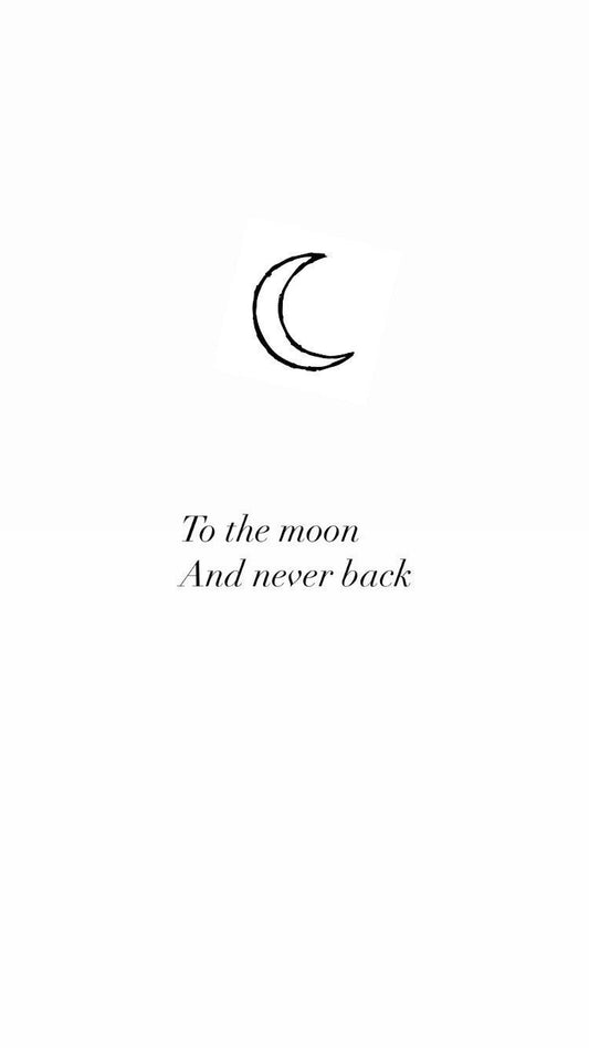 Shungite Moon Necklace Crystal Moon