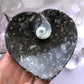 Ammonite Fossil Dish