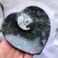 Ammonite Fossil Dish