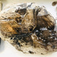 Smoky Quartz Elestial - Raw Smoky Quartz Elestial Crystal