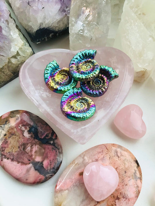 Bismuth Ammonite - Rainbow Bismuth Crystal Ammonite