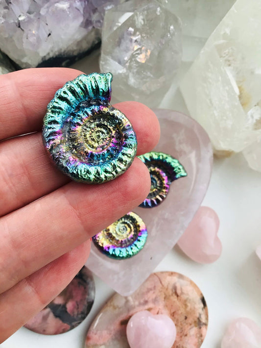 Bismuth Ammonite - Rainbow Bismuth Crystal Ammonite