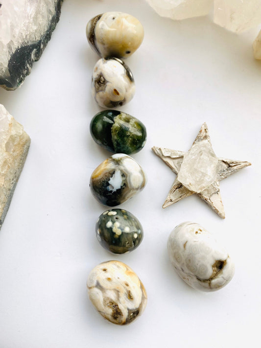 Ocean Jasper Tumbled Crystal- Crystal Healing